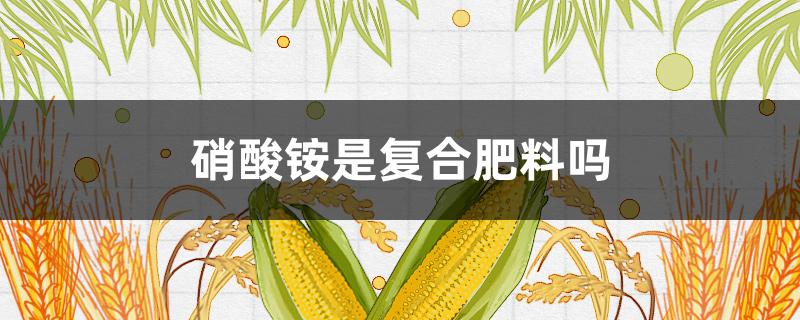 硝酸铵是复合肥料吗 含硝酸铵的复合肥有哪些