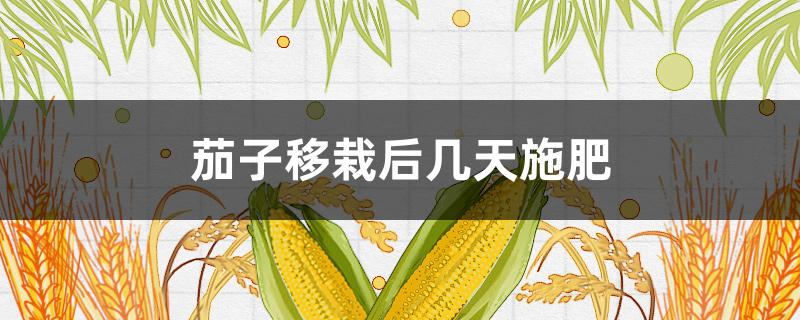 茄子移栽后几天施肥