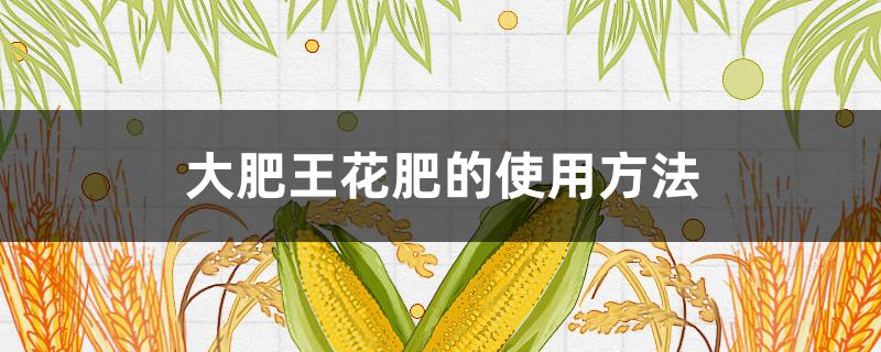 大肥王花肥的使用方法 大肥王怎么给花施肥