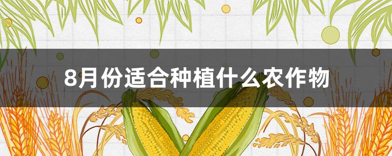 8月份适合种植什么农作物