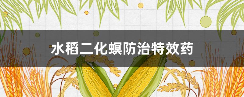 水稻二化螟防治特效药