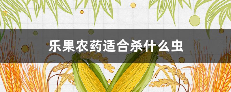 乐果农药适合杀什么虫