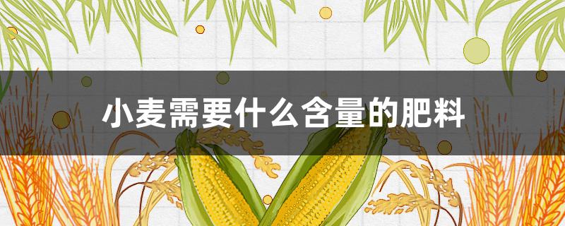 小麦需要什么含量的肥料