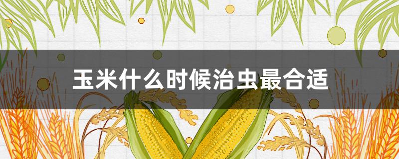 玉米什么时候治虫最合适 玉米什么时候治虫最合适呢