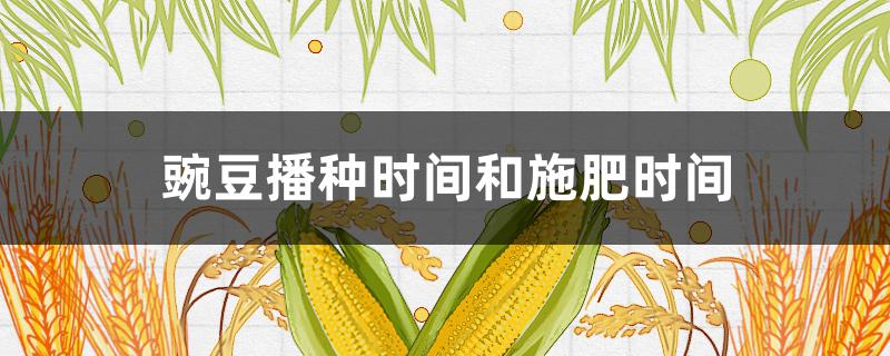 豌豆播种时间和施肥时间