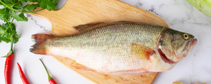 鲈鱼清蒸需要几分钟,鲈鱼清蒸需要几分钟才熟