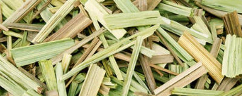 香茅草多少钱一斤，附功效作用 香茅草有什么药用价值