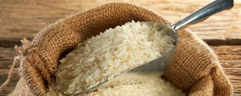大米批发价多少钱一斤（大米市场价格多少钱一斤）