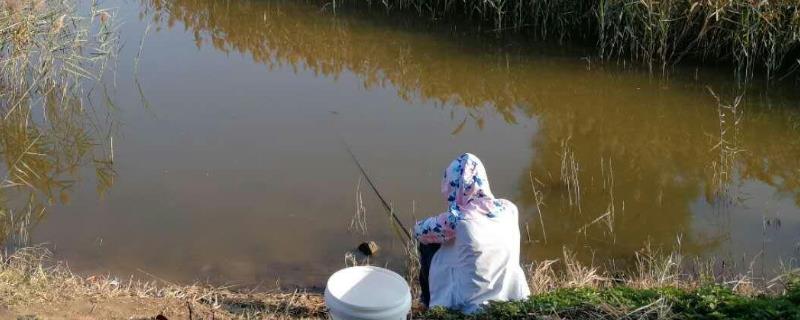钓鳙鱼用什么钓组 钓鲢鳙用什么钓组
