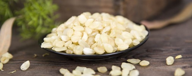 什么是皂角米，附皂角米的食用方法 皂角米的多种食用方法