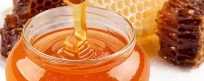 百花蜜和蜂巢蜜的区别 百花蜜与蜂蜜的区别