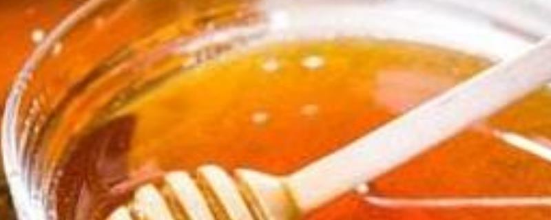 油菜蜜和枣花蜜哪个好，详细介绍 油菜花蜜是最差的蜂蜜吗