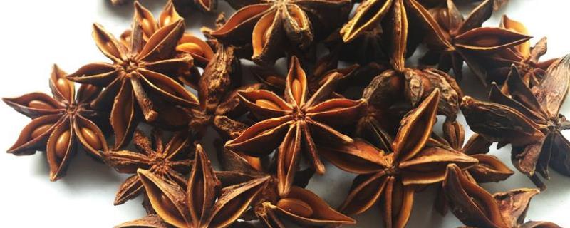 八角和茴香的区别，详细介绍 八角茴香和茴香的区别