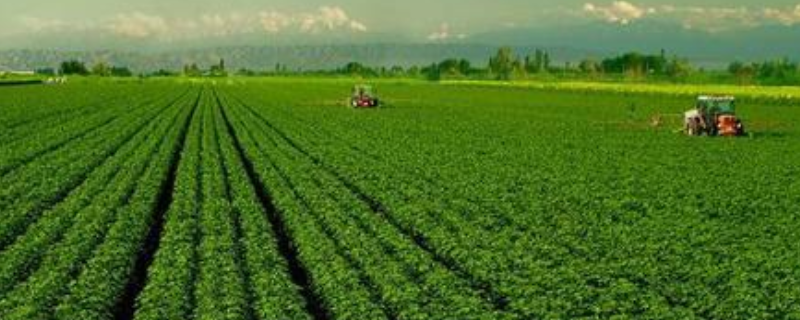什么是农业产业化 什么是农业产业化?它有哪些具体形式?
