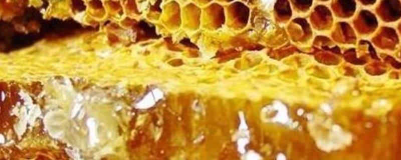 蜂胶的真假怎么鉴别，需谨慎购买 蜂胶怎么分辨真假
