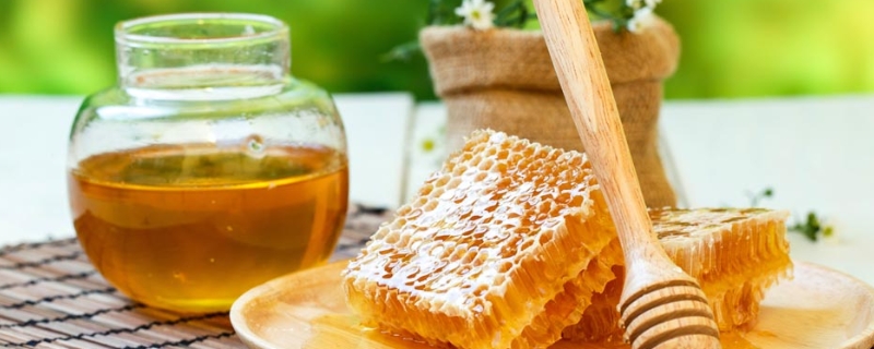 土蜂蜜和百花蜜的区别，详细介绍（土蜂蜜和百花蜂蜜的区别）