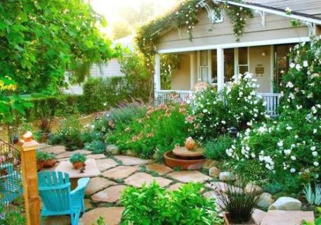 庭院绿化应该如何选择植物 庭院绿化应该如何选择植物种植