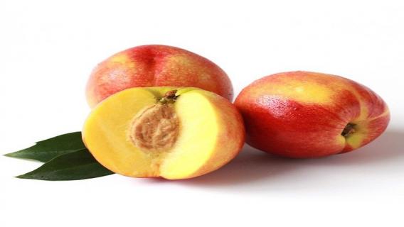 油桃几月份上市 油桃一般几月份上市