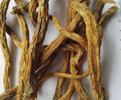 秦艽如何留种（秦艽什么时候移栽）