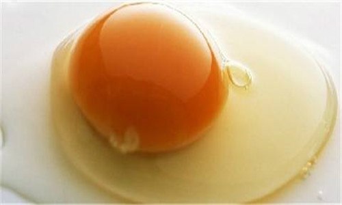 鸡卵的卵细胞由什么构成 鸡卵的卵细胞由什么构成组织