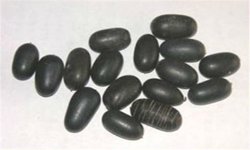 双肾子树长什么样（双肾血流分布）