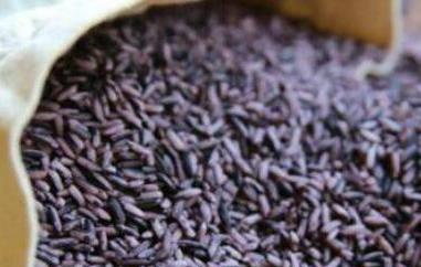 紫米怎么吃 胭脂紫米怎么吃