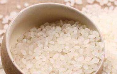 粳米和大米的区别 粳米和大米哪个好吃