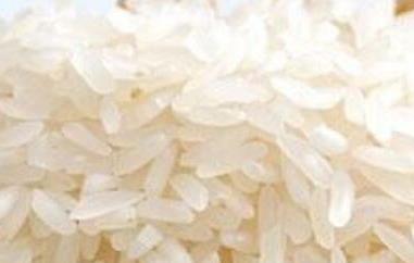 香米和大米的区别（寿司香米和大米的区别）