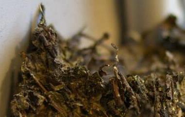 百两茶怎么拆（百两茶如何拆）