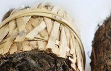 百两茶的功效与作用（百两茶的功效与作用及禁忌症）