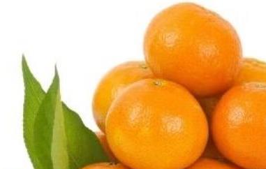 澳橘与普通橘子的区别（澳桔和橘子区别）