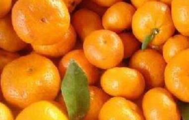 蜜橘的功效与作用 蜜橘的功效与作用及禁忌