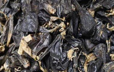 蛇胆茶的功效与作用 蛇胆茶的功效与作用禁忌