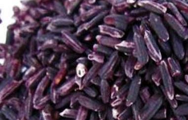 紫米的功效与作用 紫米的功效与作用及营养价值和禁忌