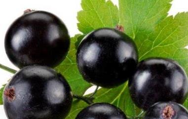 黑加仑和葡萄的区别 黑加仑和葡萄的区别及功效
