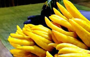 佛手柑怎么吃（佛手柑怎么吃最好）