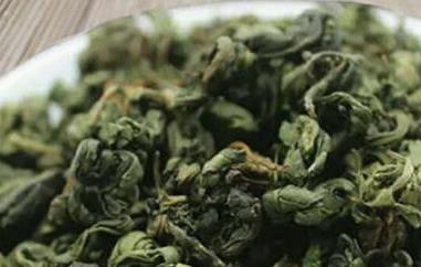 刺儿茶是什么茶 刺儿茶图片