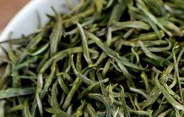 松针绿茶的功效与作用 绿茶松针的功效与作用及食用方法