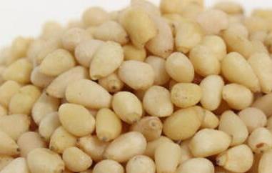 马尾松仁的功效与作用 马尾松有什么作用