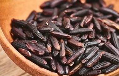 黑莓果米和黑米的区别（黑米和苹果）