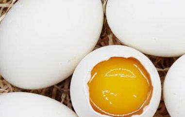鹅蛋不能和什么一起吃 鹅蛋不能和什么一起吃 鹅蛋的食用禁忌