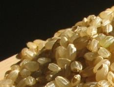 糙米的营养价值与功效 糙米的营养及功效