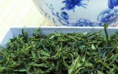酸枣芽茶的功效与副作用（酸枣芽茶的功效与副作用是什么）