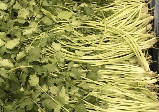 韩国大棵香菜种植技术，怎么施肥好（香菜幼苗可以施肥吗）