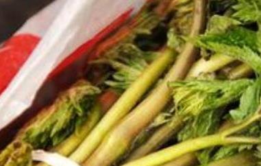 苦乐芽怎么做 苦力芽怎么做好吃