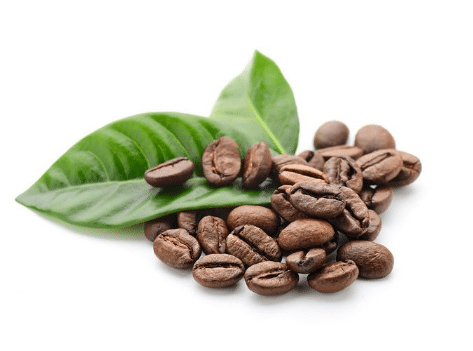 咖啡豆怎么种植，咖啡豆病害防治 咖啡豆怎么种植,咖啡豆病害防治方案