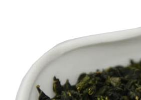 桑叶茶的功效与作用 桑叶茶的功效与作用及禁忌