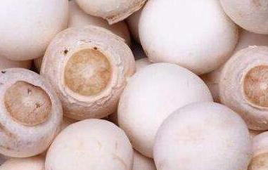 珍珠白蘑怎么吃 珍珠白蘑怎么吃效果好