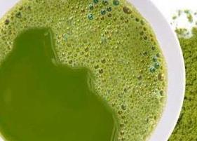 绿茶粉面膜（绿茶粉面膜有什么危害）