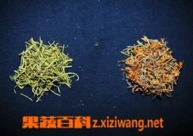 金银花与山银花的鉴别（金银花与山银花的鉴别实验报告讨论）